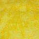 Home golden #017